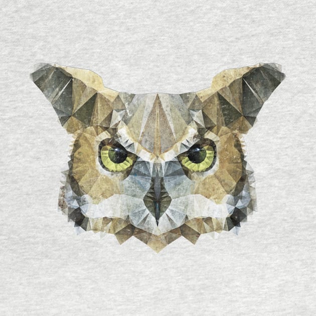 Hoot ! by Ancello